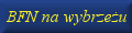 BFN na wybrze�u