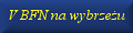 BFN na wybrze�u