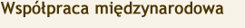 Współpraca międzynarodowa