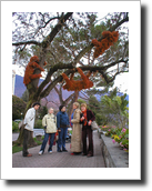 Galeria: Leniwce w Montreux